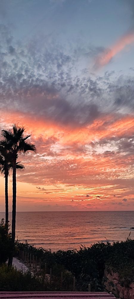 Photograph by Irena TURČINSKAJA