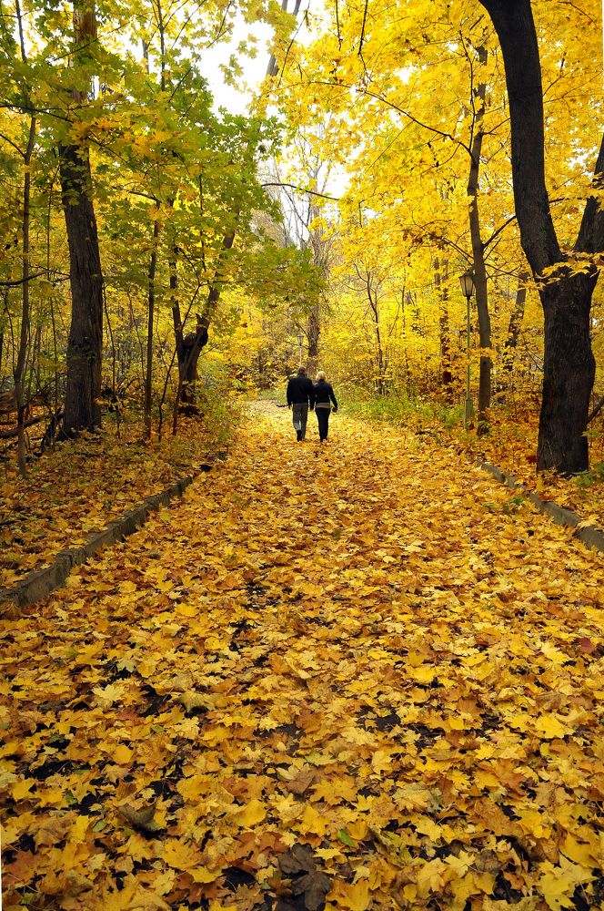 Photograph by Tatiana Kanevskaya