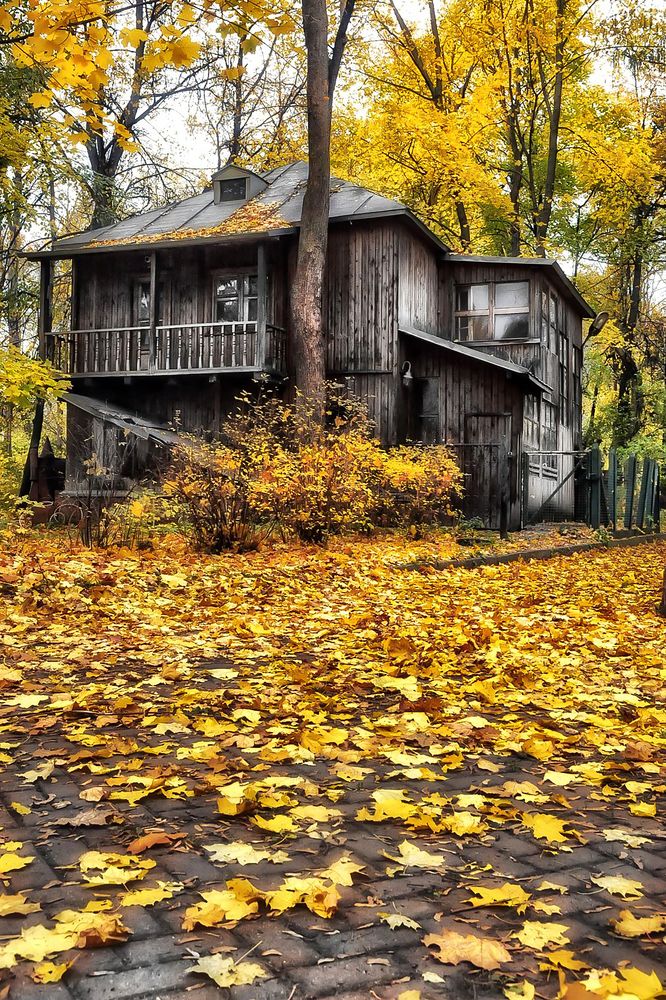 Photograph by Tatiana Kanevskaya