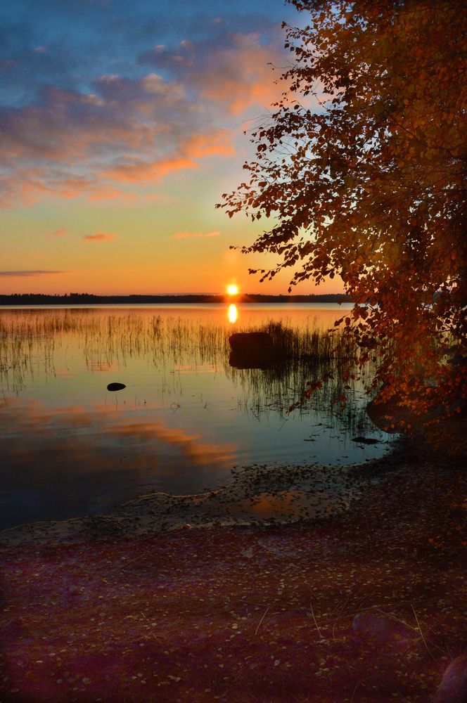 Photograph by Светлана Муравьева