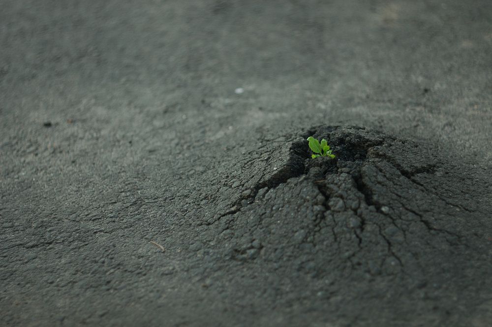 Photograph by Serhii Dushin