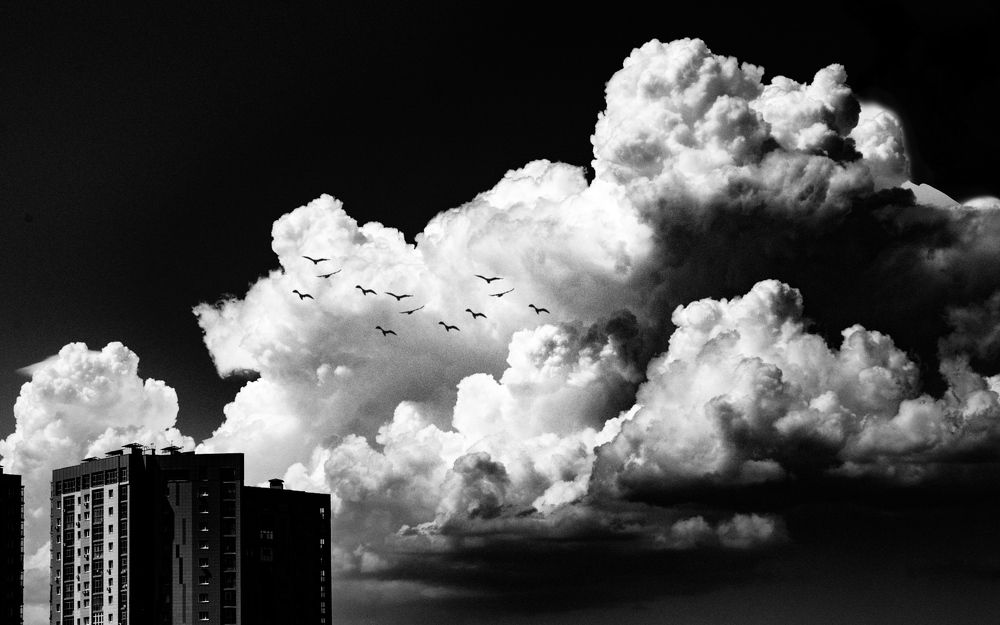 Photograph by Жозе Де Оливейра