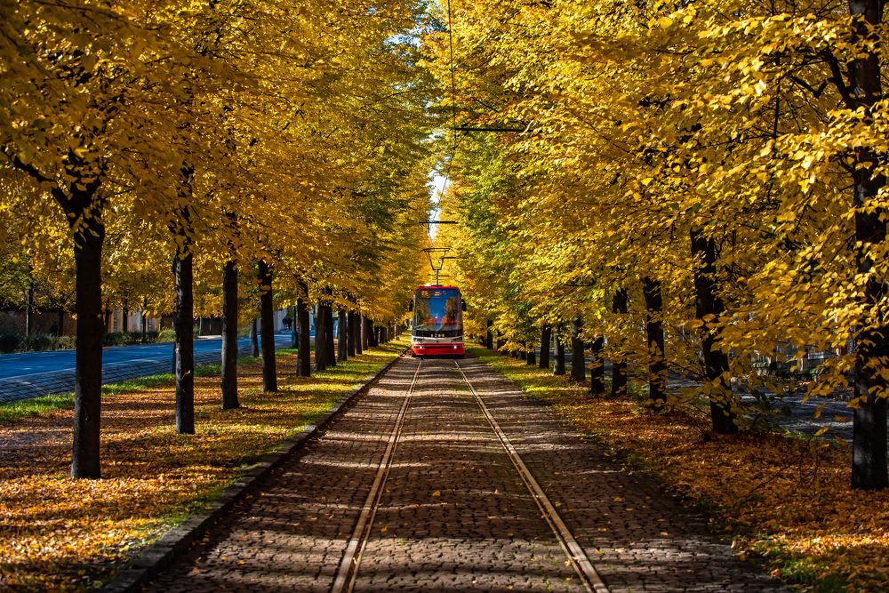 Фотография автора konstantin zhdanov