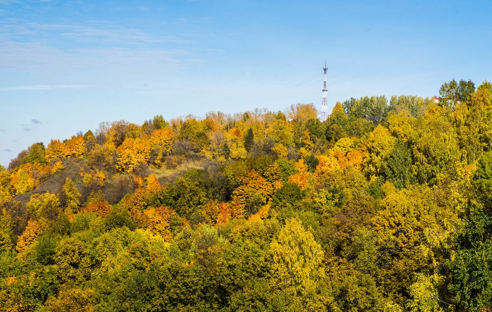 Фотография автора Василиса Новикова