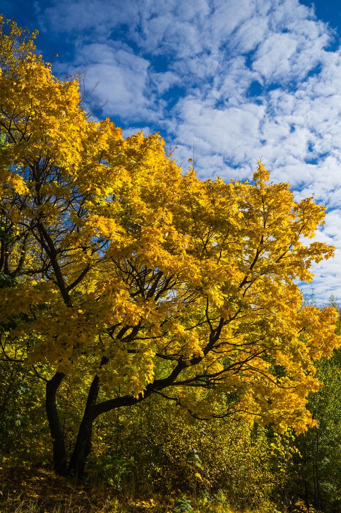 Фотография автора Василиса Новикова