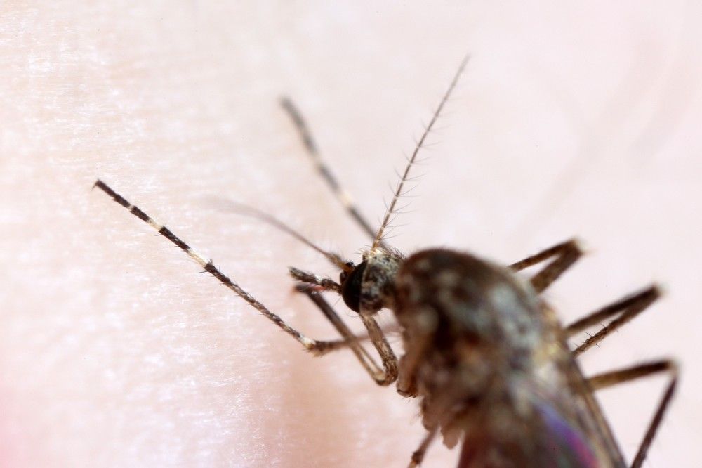 Photograph by Екатерина Афанасьева