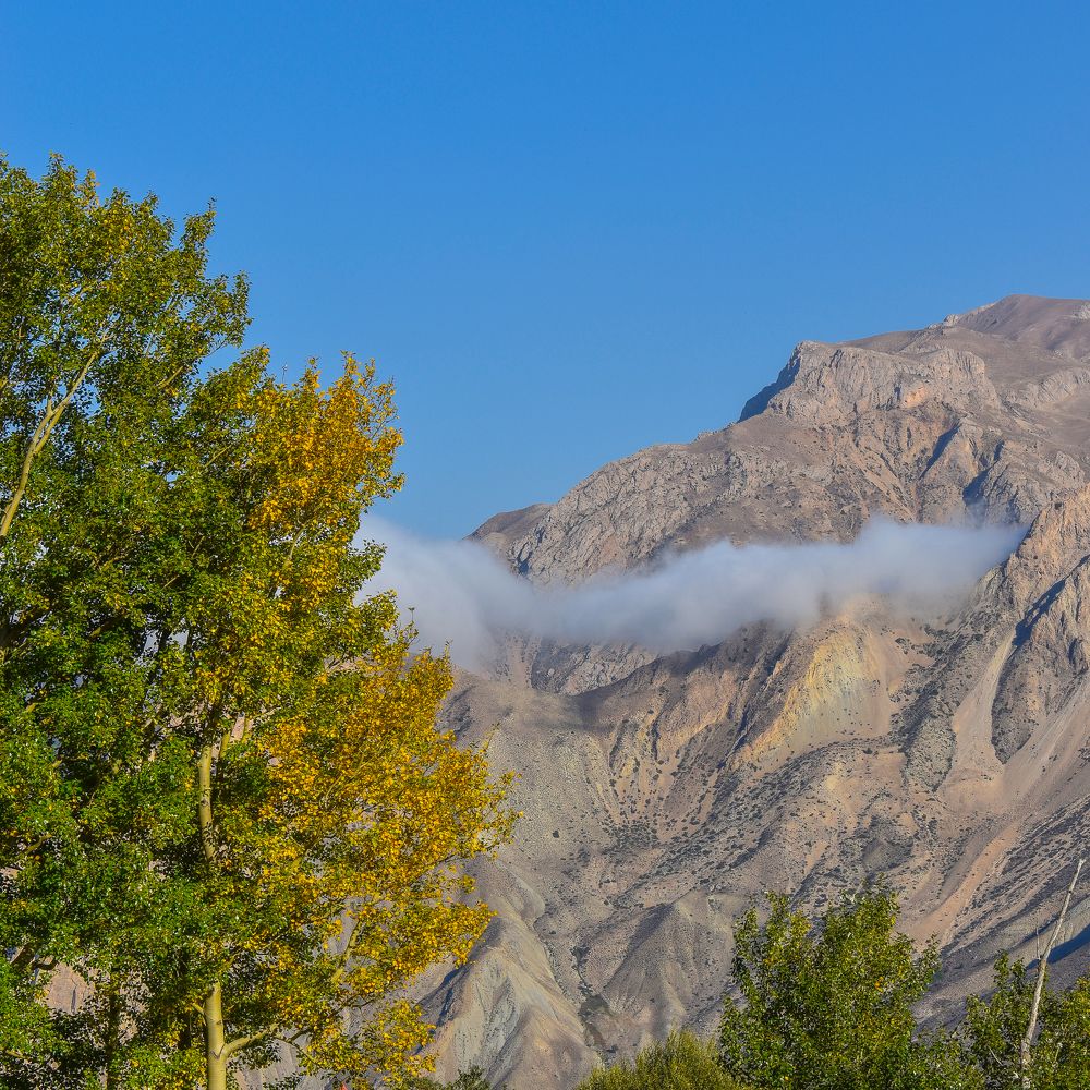 Photograph by Fatemeh Jamalian