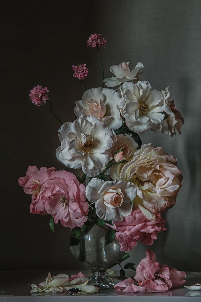 Фотография автора Анна Петина