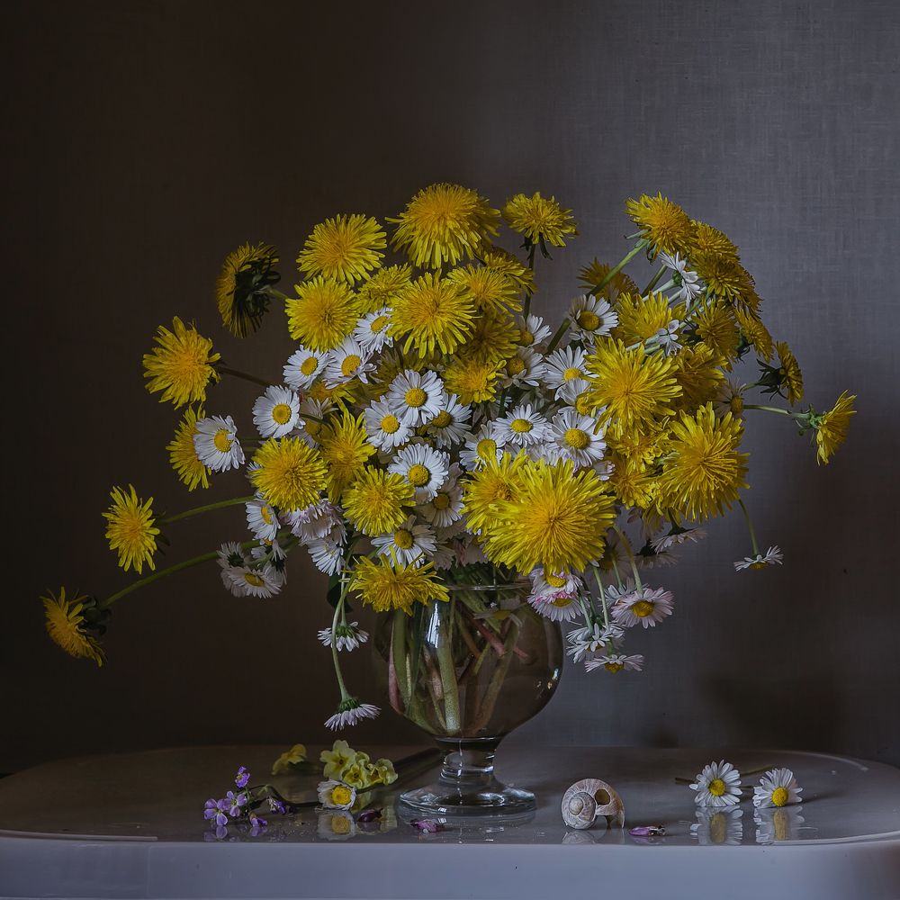 Photograph by Анна Петина