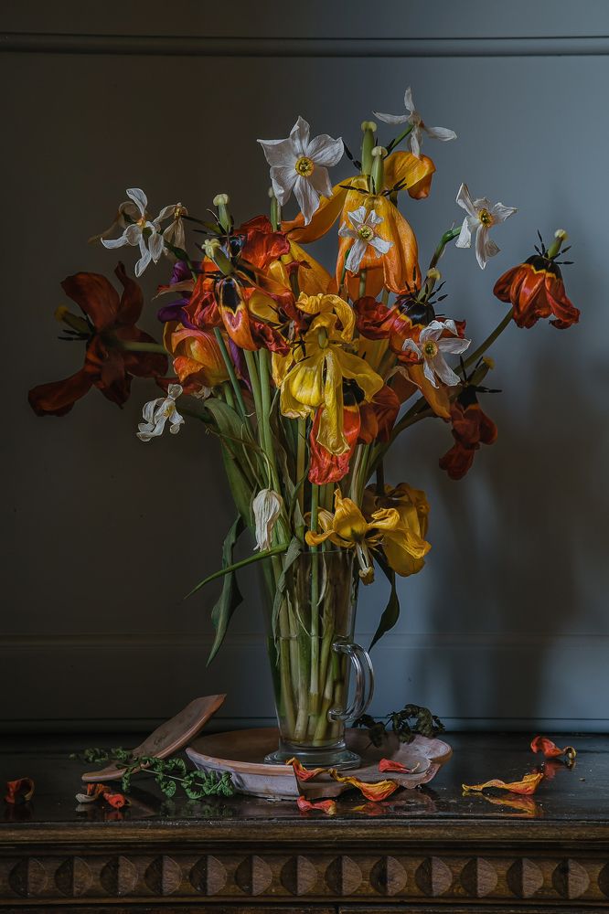 Фотография автора Анна Петина