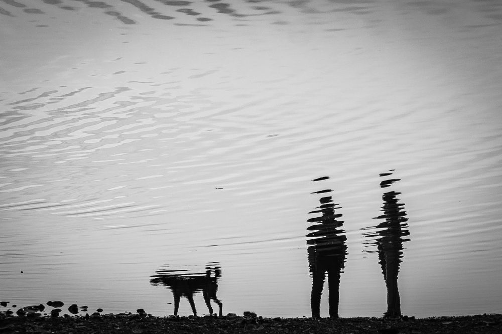 Photograph by Юрий Можейко