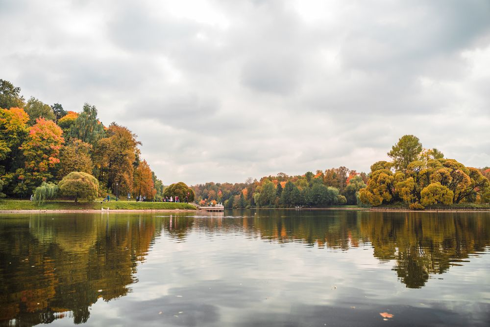 Краски осени.
