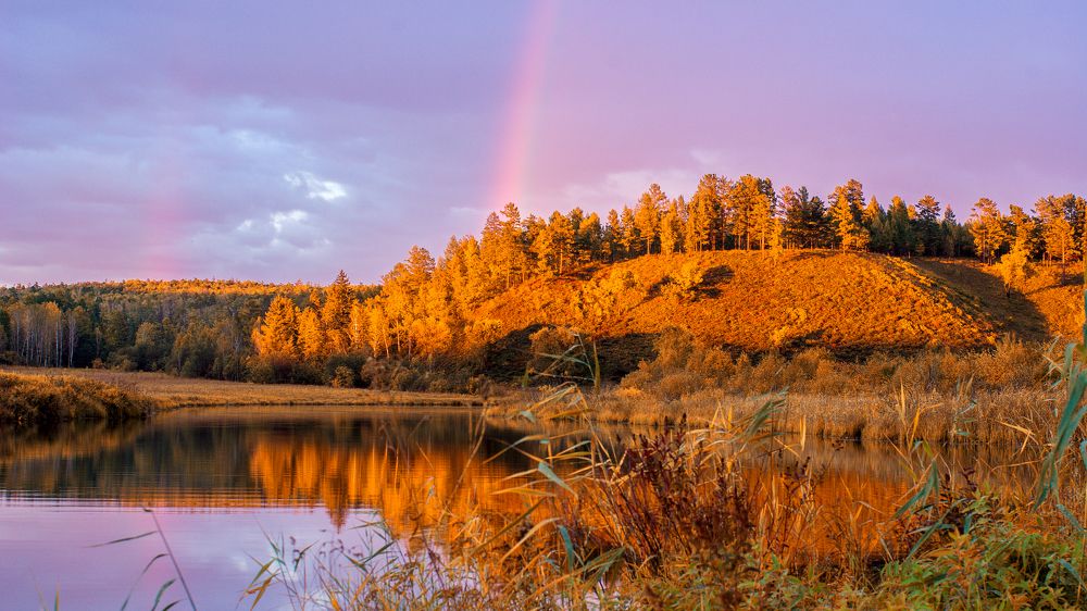 Осенний пейзаж