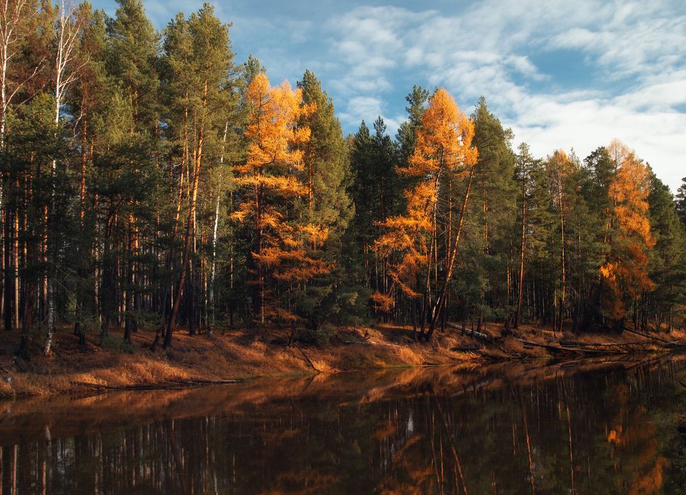 Photograph by Ксения Казырицкая