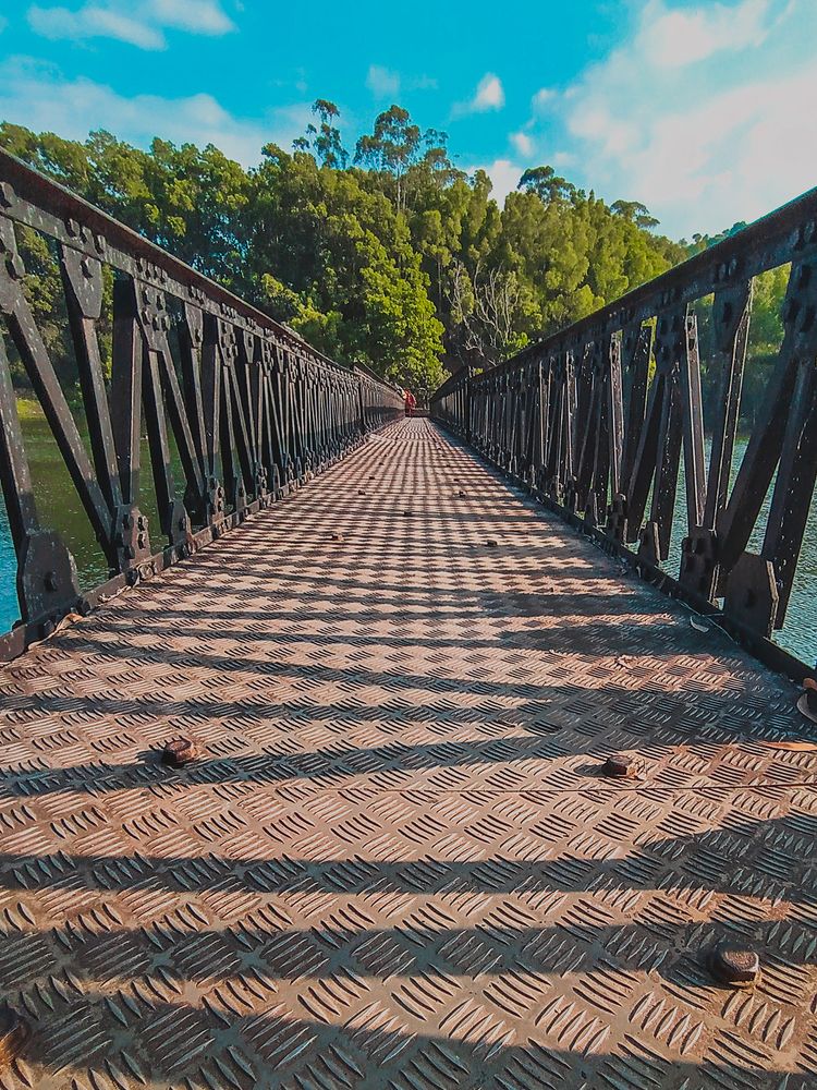 Perspective Bridge into the trees