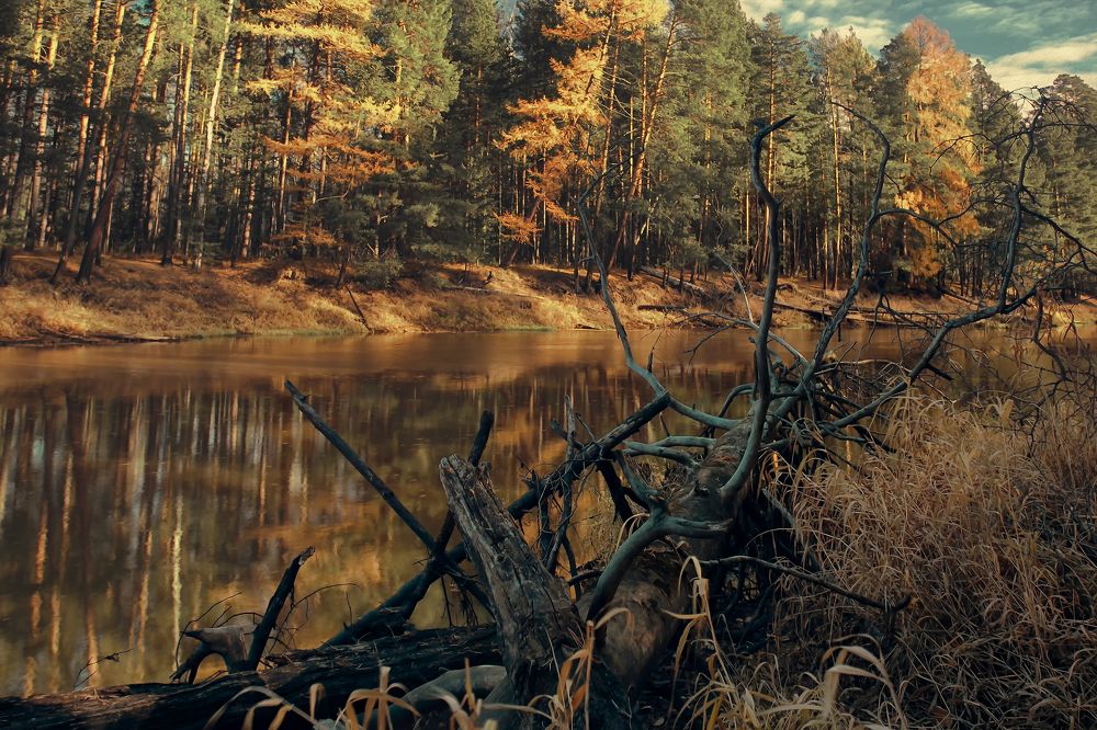 Photograph by Ксения Казырицкая