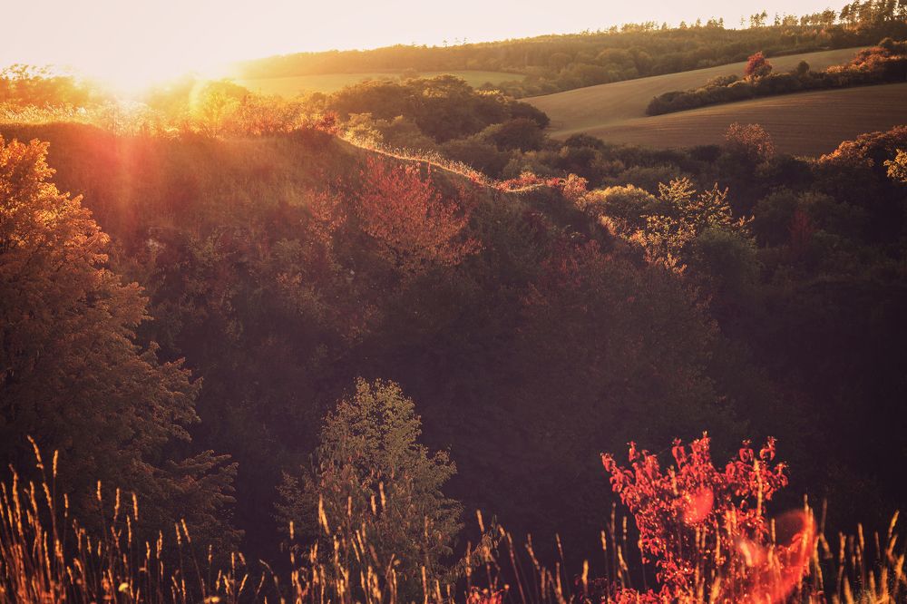 Photograph by Gabriela Ottova