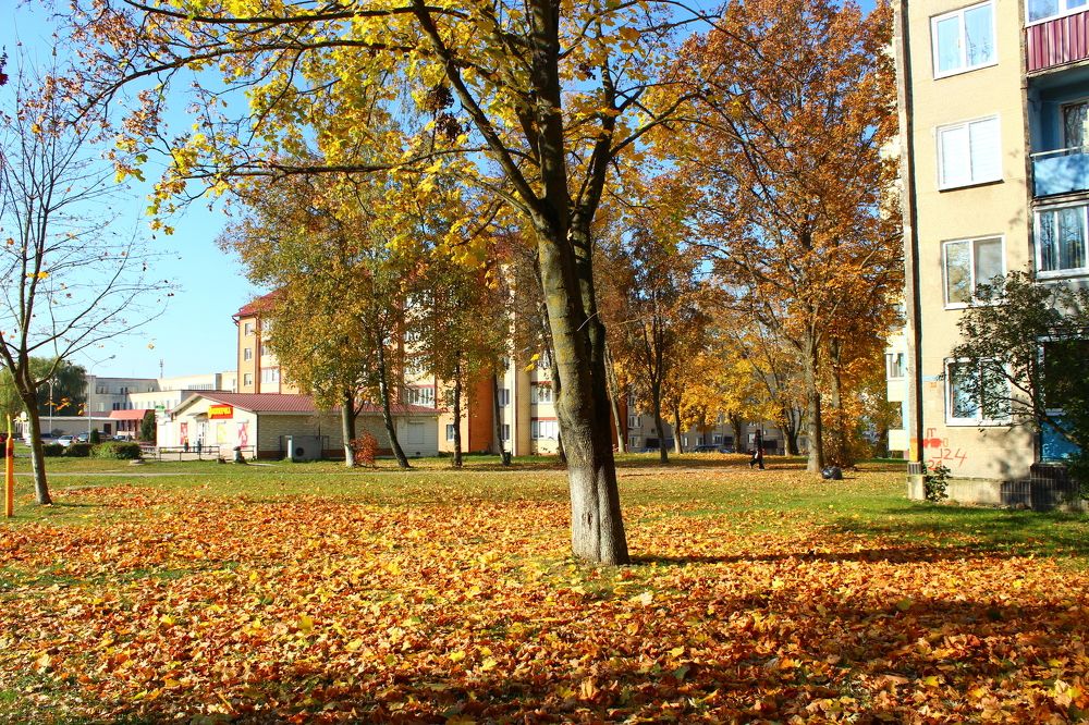 Фотография автора Катеренчук Андрей