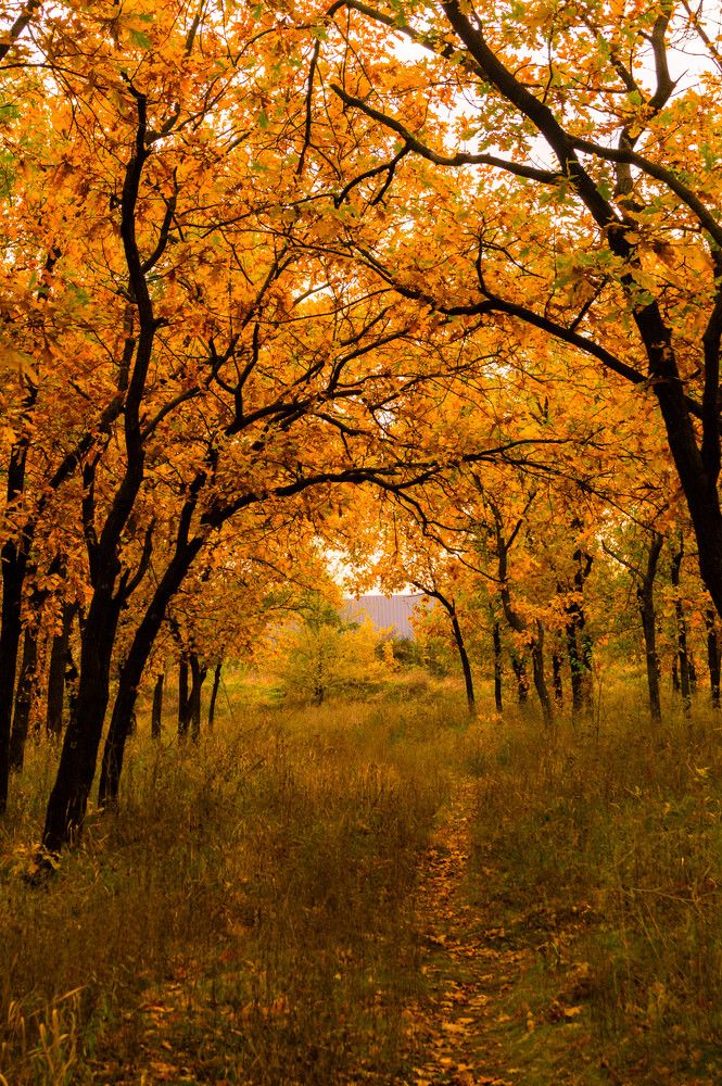 Photograph by Vlad Proshin