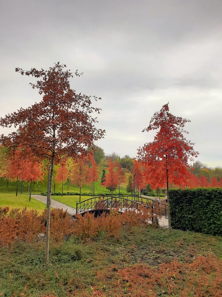 Photograph by Ирина Гнатюк