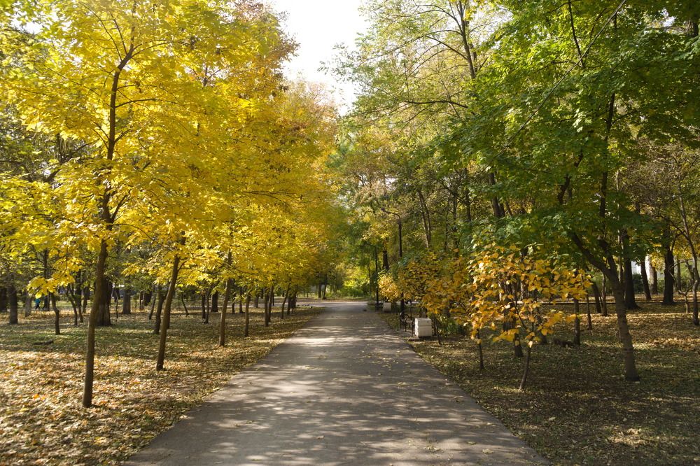 Photograph by Башлаев Константин