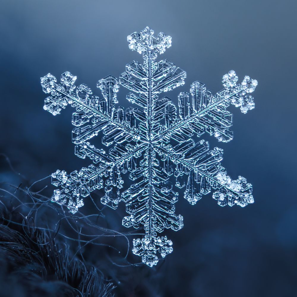 Photograph by Josipa Sabol