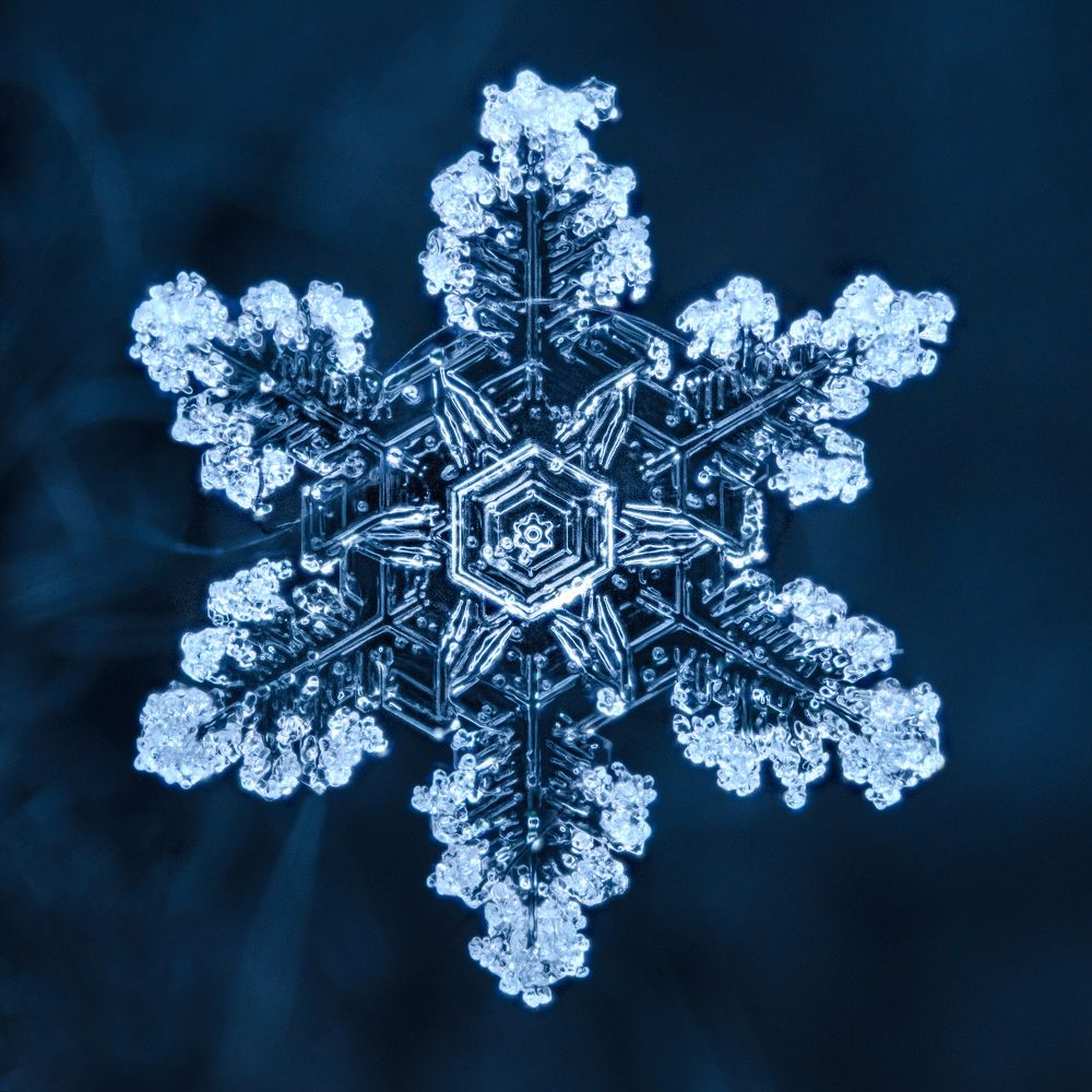 Photograph by Josipa Sabol