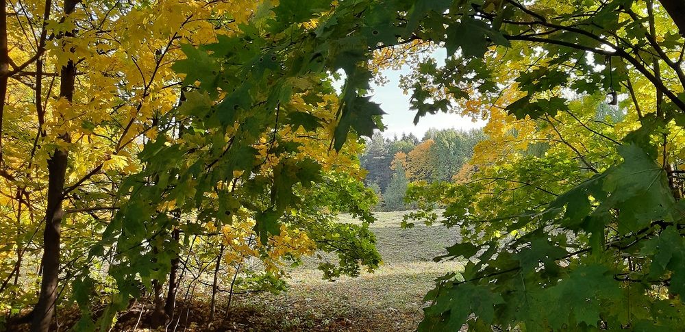 Photograph by Александр Юрьевич Зуев