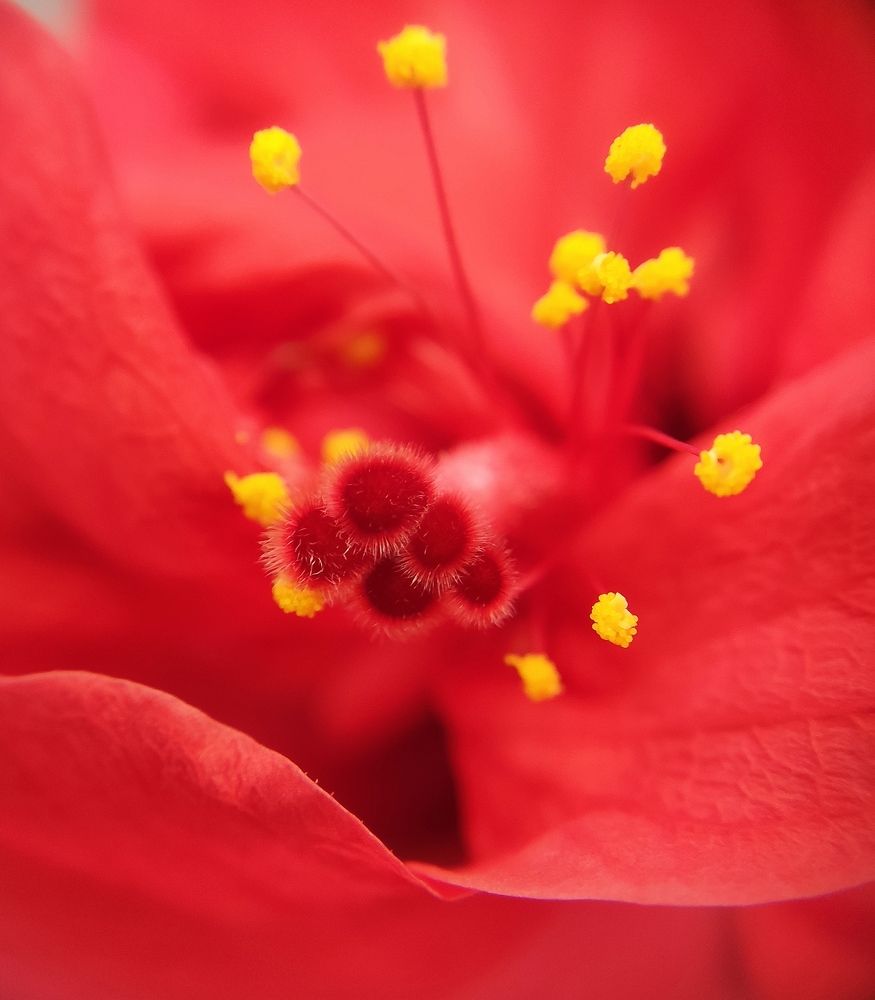 Photograph by Дарья