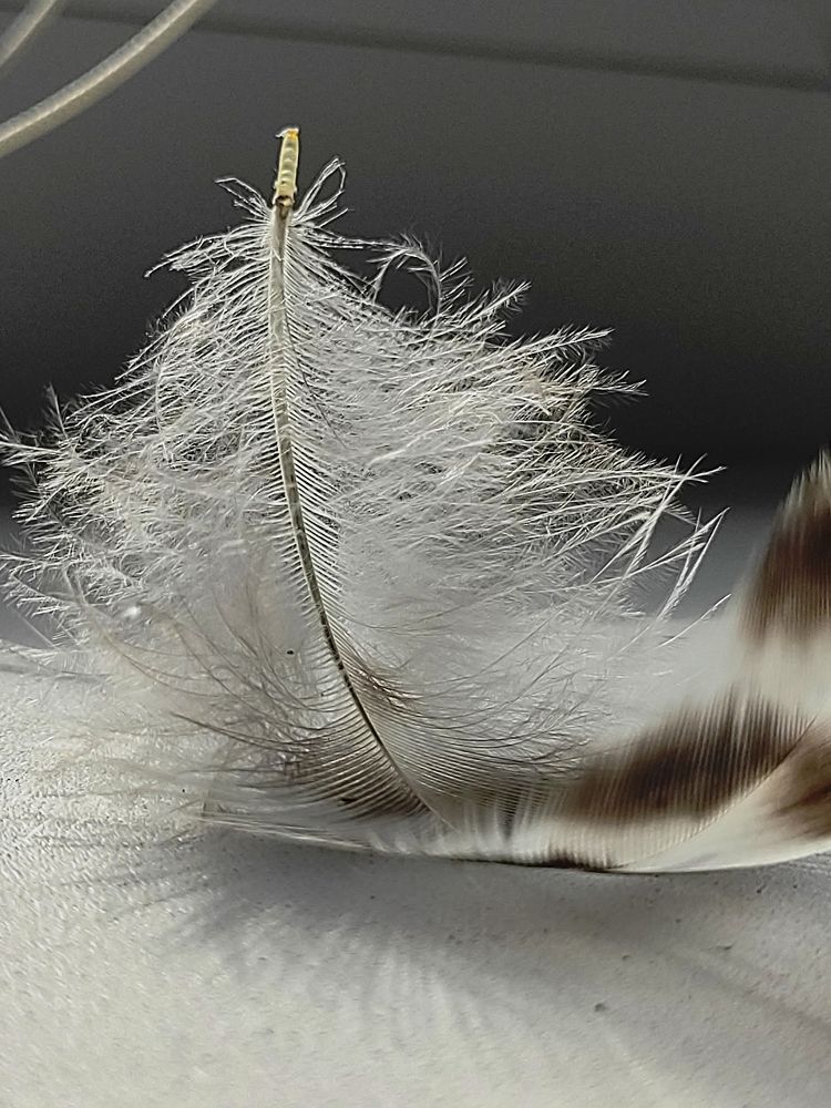 Photograph by Дарья