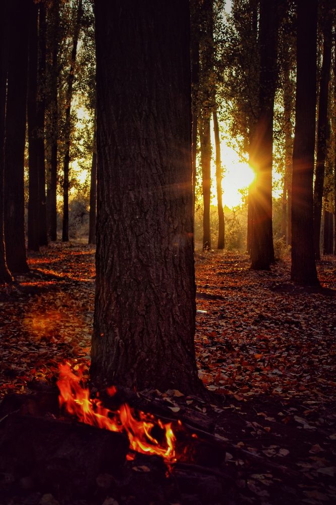 Photograph by Дмитрий Худоерко