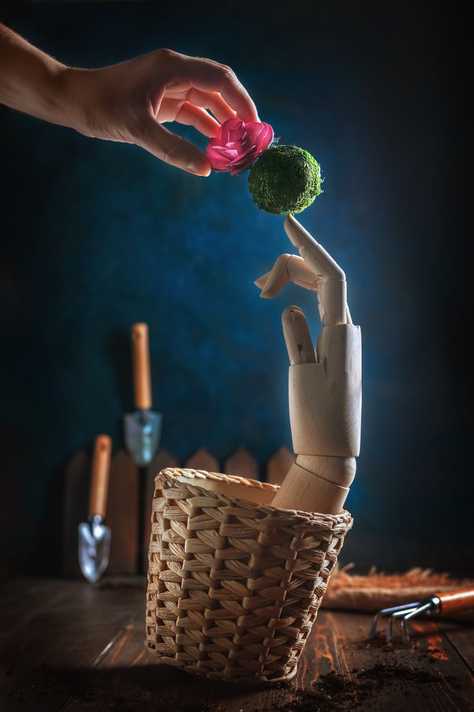 Photograph by Ольга Ильина