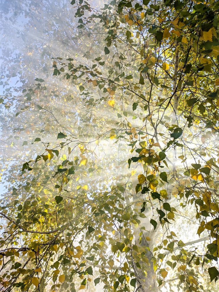 Photograph by Алексей Юдин