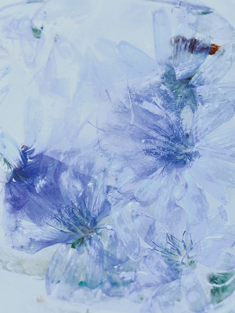 Photograph by Артур Жуков