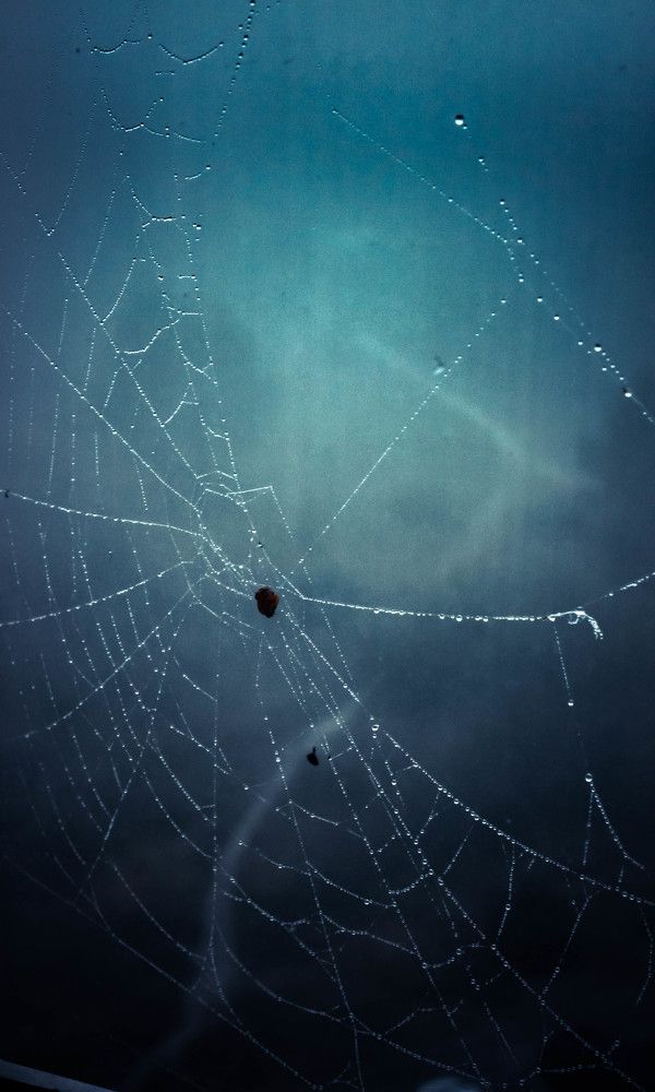 Photograph by Олечка