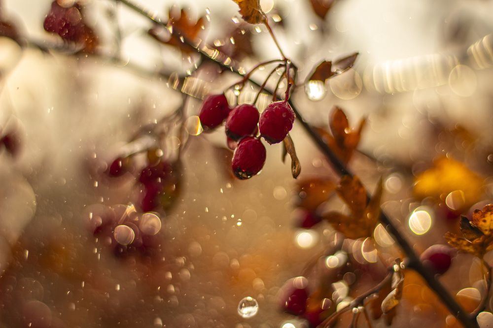 Photograph by Наталья Исиченко