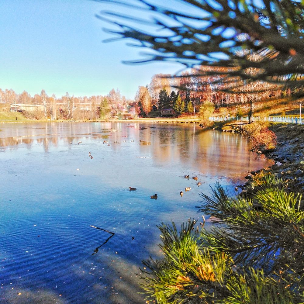 Photograph by Жанна Усатова