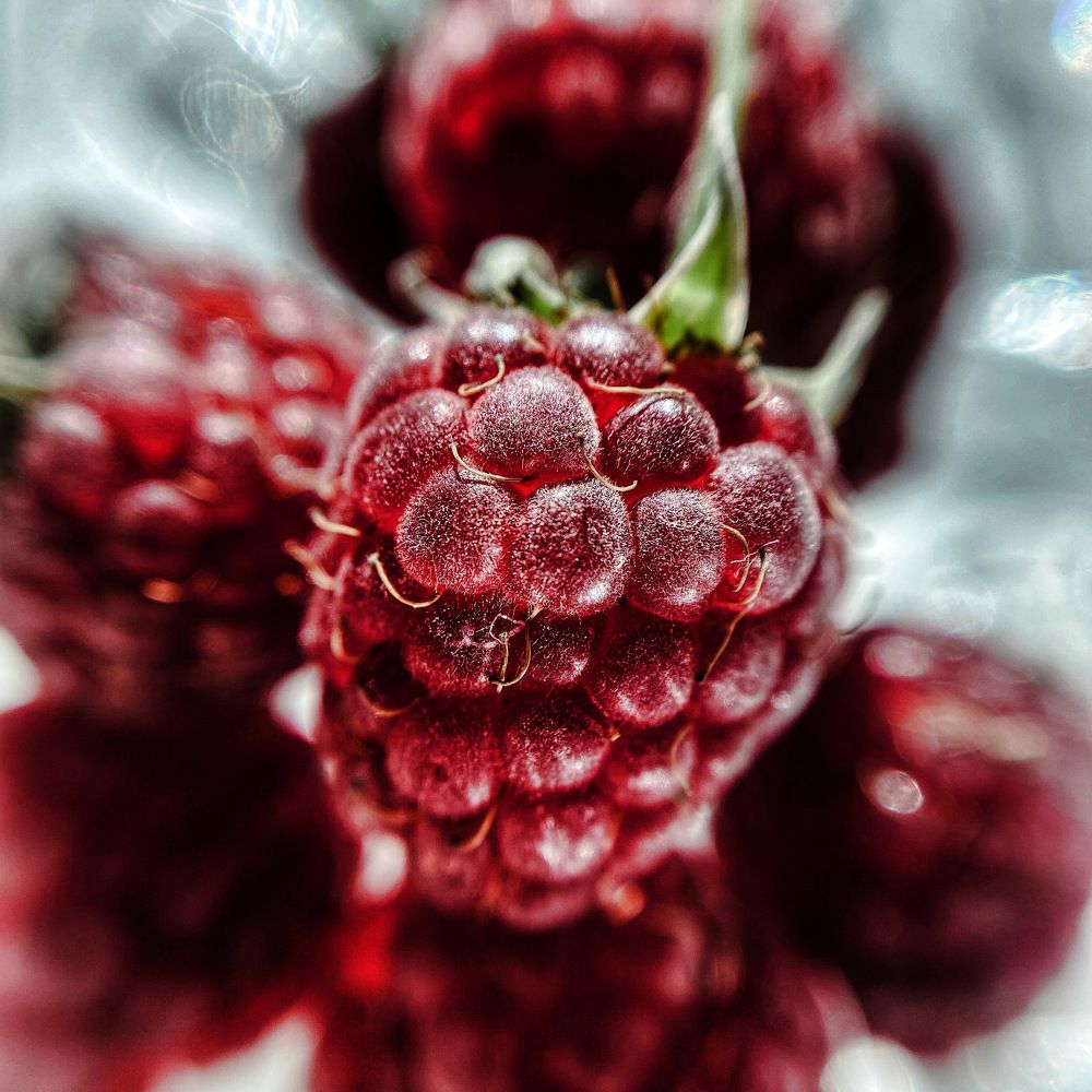 Photograph by Antonina Sokolenko