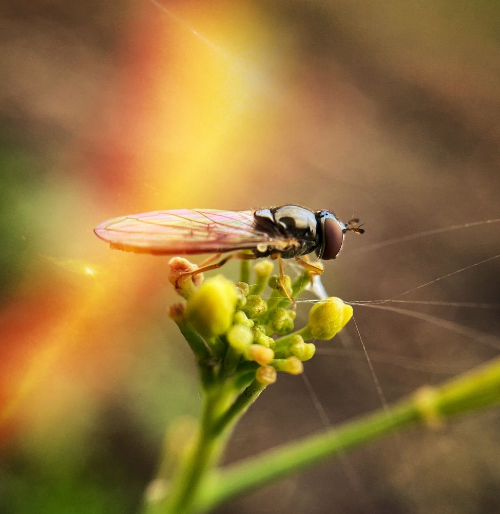 Photograph by Antonina Sokolenko