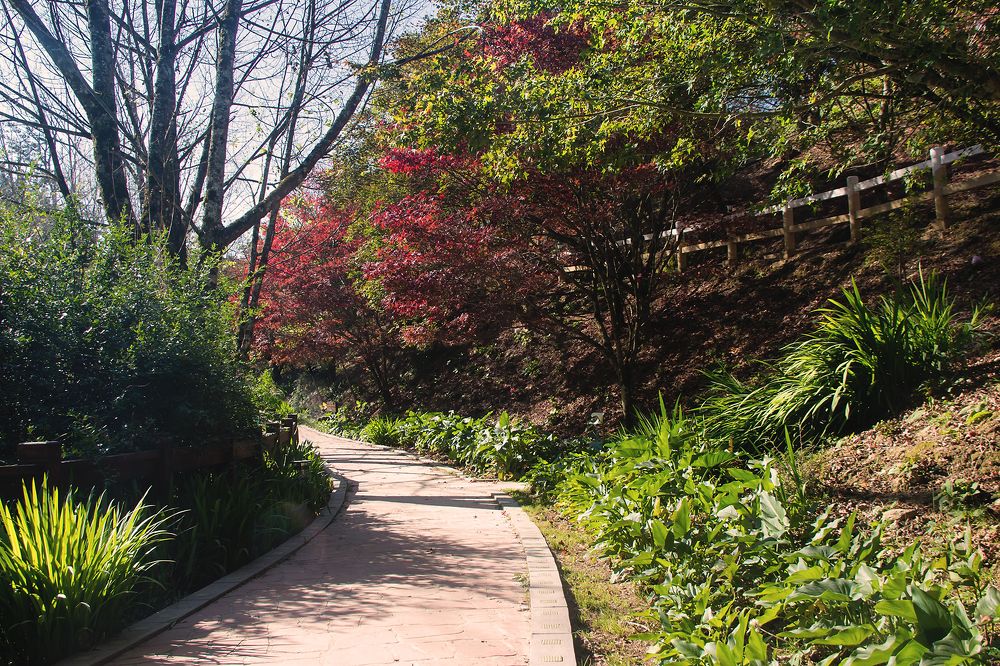 Photograph by Danny lai