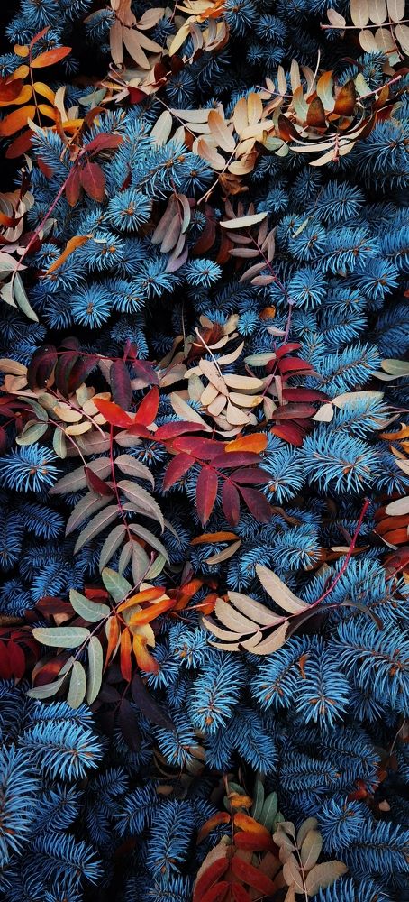 Photograph by Алексей Степаненко