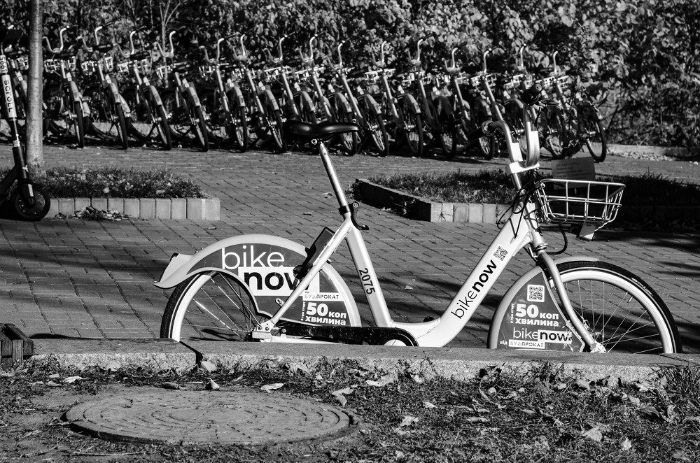 Фотография автора Владимир Брызгунов