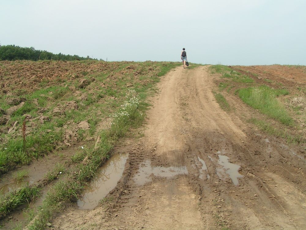 Фотография автора Клавдия Васильева