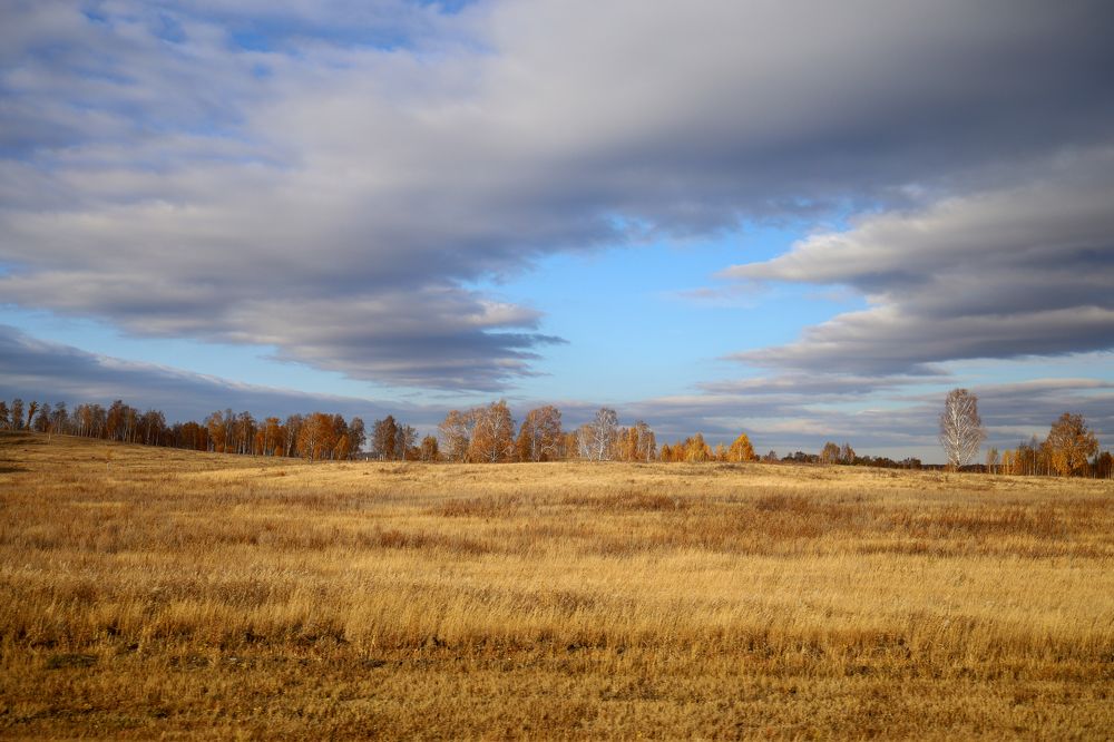 Photograph by Оксана Никулина