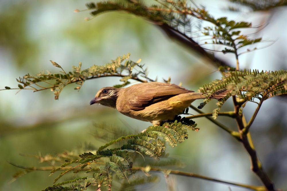 Photograph by Наталья Ченчикова