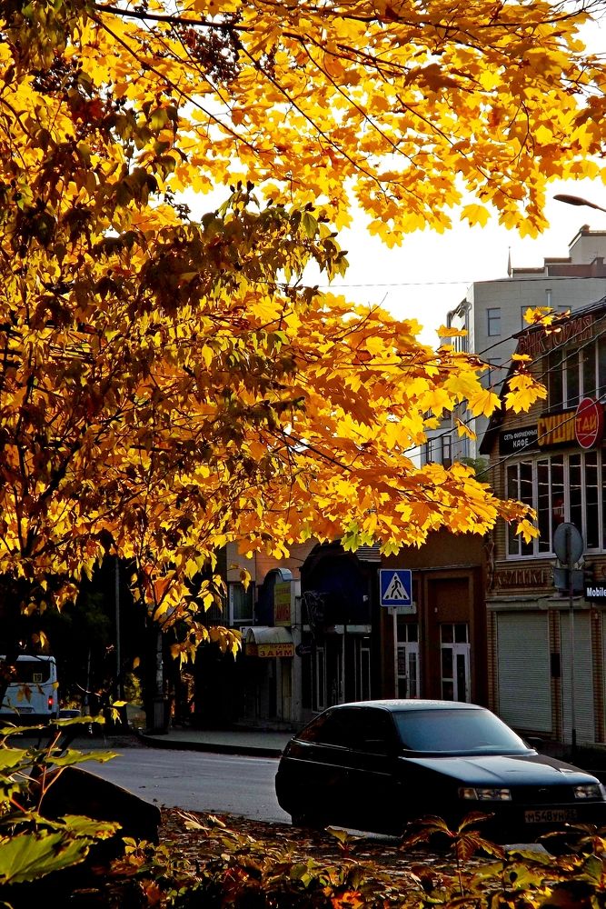 Photograph by Евгений Бригиневич - Снежин