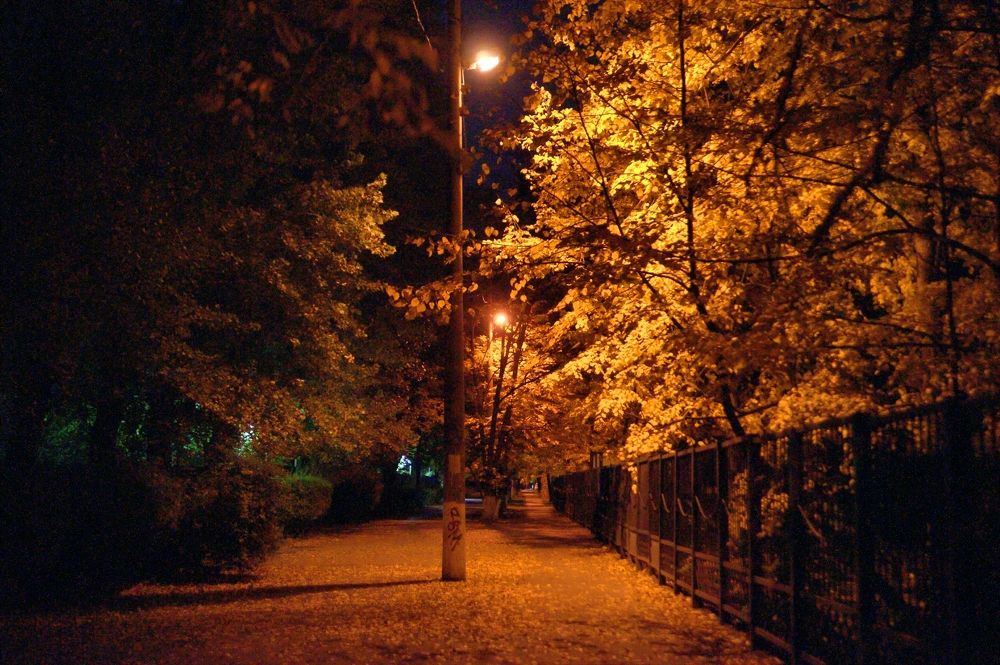 Photograph by АНДРЕЙ Роев