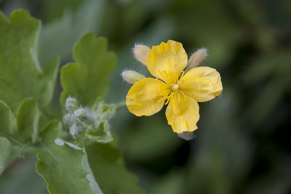 Photograph by Галина Щипакина