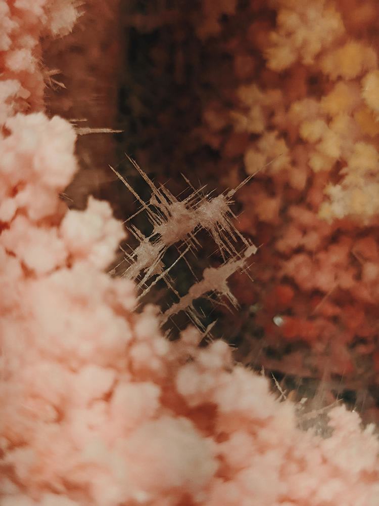 Photograph by Владимир Куликов
