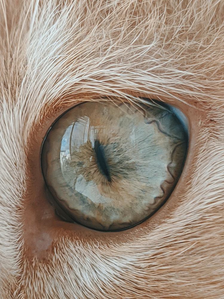 Photograph by Владимир Куликов